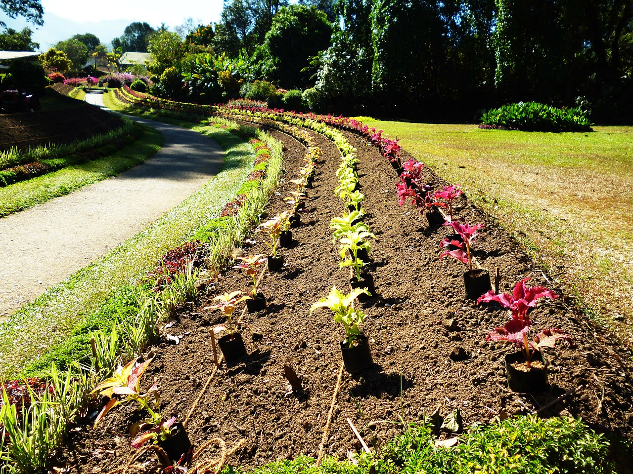 How To Effortlessly Start A Flower Bed From Scratch